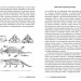 Динозаври. Новий погляд – Майкл Бентон (Укр) Бородатий Тамарин (9786179526732) (550274)