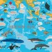 Атлас океанів з багаторазовими наліпками (Укр) Кристал Бук (9789669870513) (449600)