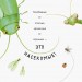 Книга Знайомі комахи Ранок S934001Р (9786170940797) (292586)