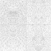 Розмальовка Трианімалз Розмалюй нас Дикі тварини (Укр) Жорж Z101039У (9786177579310) (301389)