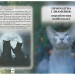 Таємниці кланів. Коти-вояки. Путівник по серії. Ерін Гантер (Укр) АССА (9786177660278) (310196)