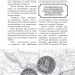 За що воює Україна? Відомі історії нашої держави. Яневський Д. (Укр) Фоліо (9786175513613) (502791)