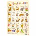 Плакат Плакат "Англійська абетка" Зірка 47939 (9789666242917) (286371)