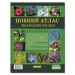 Повний атлас лікарських рослин. Алексєєв І., Діброва А. (Укр) Глорія (9786175363263) (300711)