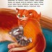 Котячі витівки. Подарункове видання (Укр) Кенгуру КН1258002У (9786170960153) (348846)