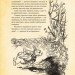 Алісині пригоди у Дивокраї (з ілюстраціями Артура Рекхема). Льюїс Керрол (Укр) Богдан (9789661048125) (509426)