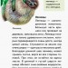 Міні-книжки: Міні-енциклопедії. Екзотичні тварини (Рос) Ранок А814002Р (9789667487201) (293005)