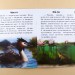 Книга Моя Україна. Читаємо по складах: Тваринний світ річок і морів (у) Ранок С366006У (978-617-09-2273-1) (215683)
