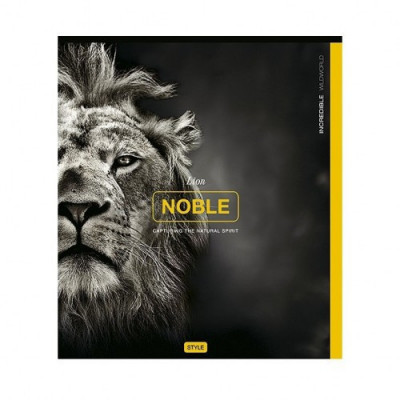 Зошит шкільний у лінійку. 18 аркушів. Girls lifestyle (Укр) Школярик 00-00075569 (4820006470470) (479704)