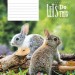 Зошит шкільний у лінію. 12 аркушів. Baby animals (Укр) Школярик 00-00046457 (4820006472061) (479688)