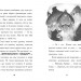 Тото. Кішка-ніндзя і легенда про дикого кота. Дермот О'Лірі. Книга 5 (Укр) Ранок (9786170974358) (486861)