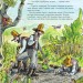 Петсон, Фіндус і переполох на городі. Свен Нордквіст (Укр) Богдан (9789664084502) (509519)