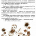 Квітка сонця Василь Сухомлинский (Укр) Школа (9789664290170) (275767)