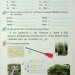 НУШ Українська мова 3 клас. Застосовуй знання. Робочий зошит – Пономарьова К. (Укр) Оріон (9789669913937) (555022)