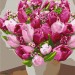 Яскраві тюльпани. Картина за номерами. 40х50 см Ідейка (4823104325079) (447179)