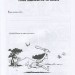 Книга Наука в коміксах .Біологія (Укр) Рідна мова (9789669175489) (471106)