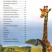 Енциклопедія для допитливих Тварини (Укр) Талант (9786176950264) (467423)