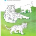 Тварини світу. Інтерактивна книжка. Чому? Чого? Навіщо? Штефан Ріхтер (Укр) Богдан (9789661084734) (509655)