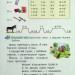 НУШ Читання 1 клас. Тренажер з читання. Читаємо швидко і вдумливо – Пономарьова К. (Укр) Оріон (9789669912824) (555896)