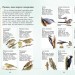 Енциклопедія Стежками природи: Спостерігаємо за птахами (Укр) Ранок С791004У (9786170956422) (343014)