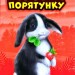 Кролик та його халепи. Історії порятунку. Книга 2 (Укр) АССА (9786177660476) (350382)