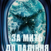 За мить до падіння – Ноа Гоулі (Укр) Vivat (9786171709744) (558310)