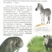 Енциклопедія Пізнаємо та досліджуємо: Тваринний світ (Укр) Ранок К421005У (9786170924544) (262639)