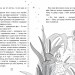 Оповідки Зубної Феї. Шалені перегони. Книга 2. Наконечна Т. (Укр) РМ (9786178248185) (508737)