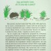 Гра в індіанців, або Ніколи не смійся з крокодила. Воронина Л. (Укр) Vivat (9789669829139) (506879)