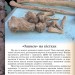 Шкільна енциклопедія Від мавпи до людини (Укр) Ранок Ш152002У (9786170916679) (218874)