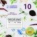 Біологія і екологія 10 клас Робочий зошит (2020) Андерсон, Вихренко (Укр) Школяр (462347)