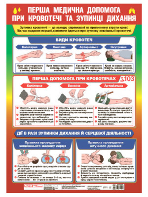 Перша медична допомога при кровотечі та зупинці дихання. Плакат (Укр) Ранок (4823076155940) (484229)