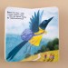 Книга на картоні Для маленької долоньки: Сорока-листоноша (у) Ранок Ч543009У (978-966-74-7936-7) (249644)