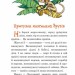 В Країні Сонячних Зайчиків. Всеволод Нестайко (Укр) Богдан (9789661046152) (509299)