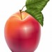 1010-1 Міні рахунковий матеріал Їжачки і яблука (У) Роздавальний матеріал ~ 13106070У Ранок (4823076122348) (233544)