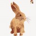 Зоометрія. Улюблені тварини. Цифрова розмальовка (Укр) Жорж Z101046У (9786177579907) (349888)