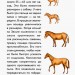 Міні-книжки: Міні-енциклопедії. Все про коней (Рос) Ранок А814004Р (9789667487225) (293007)