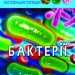 Енциклопедія Світ навколо нас. Бактерії (Укр) Кристал Бук (9789669875389) (448926)