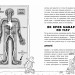 Анатомія для дітей. Адам Кей (Укр) Час майстрів (9789669154101) (501858)