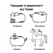 Мінірозмальовка Pusheen. Клер Белтон (Укр) Артбукс (9786175231722) (515935)