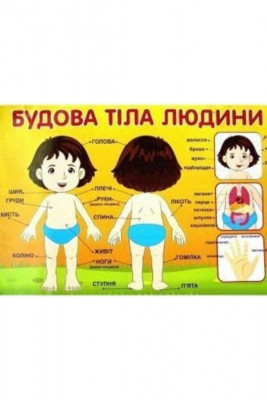 Плакат Будова тіла людини (Укр) Плакати в кожний кабінет Ранок (13104116У) (4823076132644) (268836)