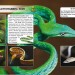Енциклопедія Світ навколо нас. Змії (Укр) Кристал Бук (9789669368935) (312021)