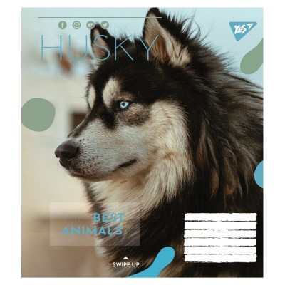Зошит учнівський 18 аркушів, лінія. Animal. YES 764981 (4823092260246) (474418)