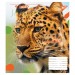 Зошит учнівський 18 аркушів, лінія. Animal. YES 764981 (4823092260246) (474418)