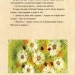 Казки Книги Олени Кас'ян : Фея на ім’я Поліна (Укр) Ранок С767004У (9786170934826) (271159)