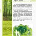 Енциклопедія Світ і його таємниці: життя лісу (р) Ранок С740001Р (9786170944382) (296041)