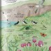 Велика ілюстрована книга про природу. Енциклопедія (Укр) Жорж Z104010У (9786177579242) (296567)