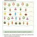 Адвент-календар з поробками та завданнями для дітей 4-6 років. Новорічні дива власноруч – Карнаушенко В.О. (Укр) Основа (9786170042064) (497649)