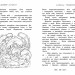 Таємне королівство Затока дельфінів. Спеціальний випуск (Укр) РМ (9789669174727) (437247)