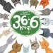 36 і 6 котів. Книга 1 – Вдовиченко Г. (Укр) ВСЛ (9786176791294) (499647)